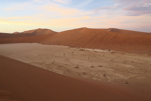 Dead Vlei