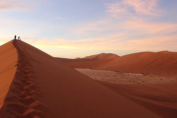 Namib Desert