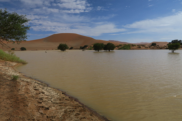 Water in the desert