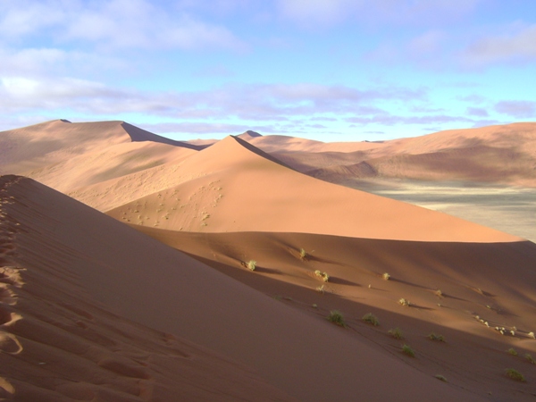 Dunes of the Namib