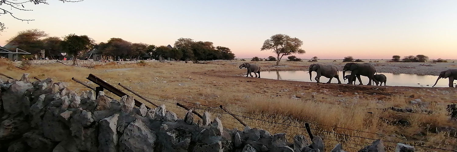 Namib Dunes Safari in Namibia