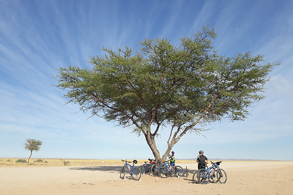 Cycling in the Namib Desert