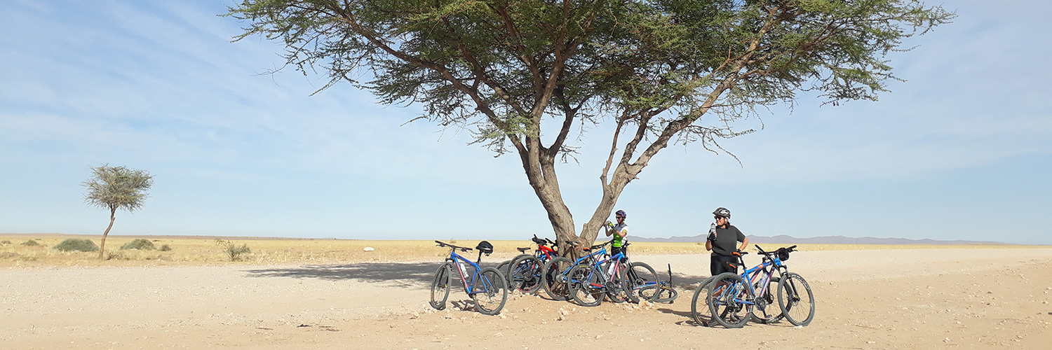 5 Day Cycle Safari