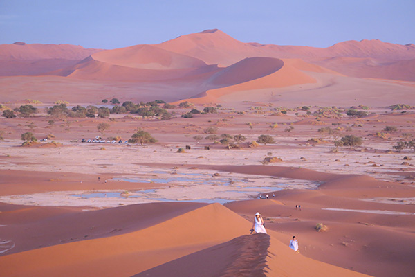 Dunes of the Namib