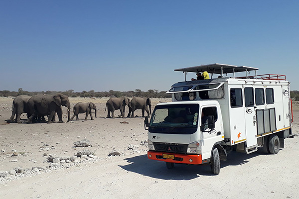 Local Etosha Safari in Namibia
